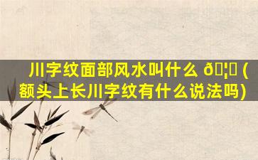 川字纹面部风水叫什么 🦈 (额头上长川字纹有什么说法吗)